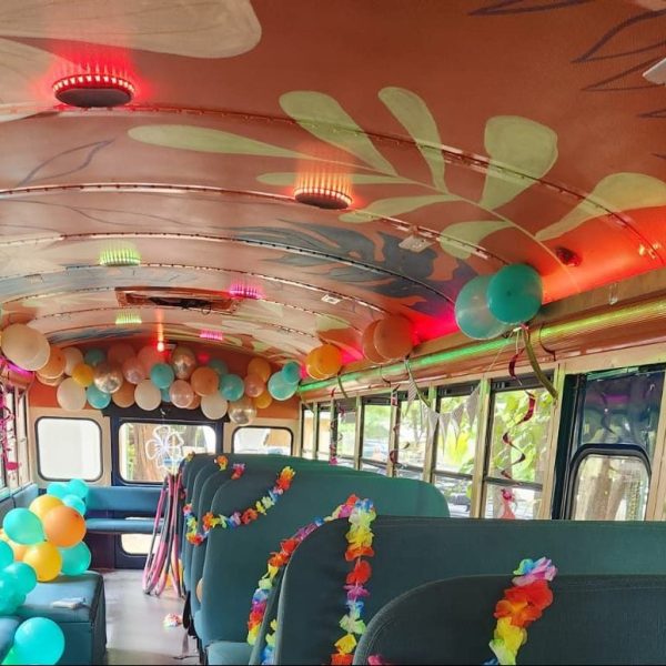 Tamarindo Party Bus Custom Theme